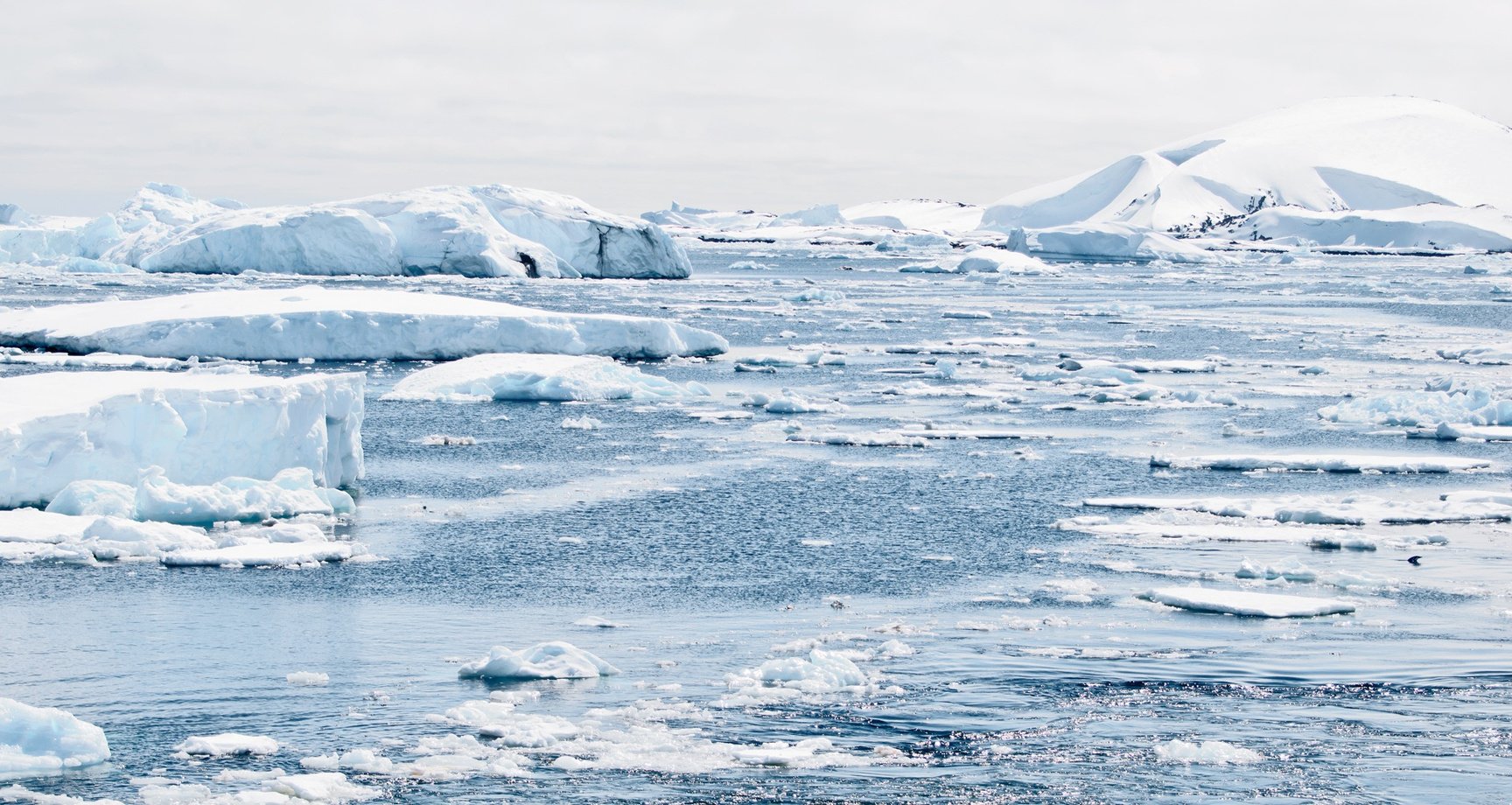 Icebergs in Antartica